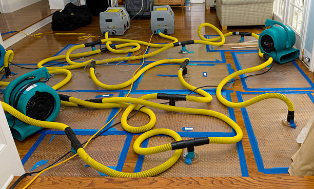 Professional Storm Water Damage Restoration technician working in Bim, WV